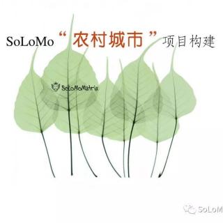 SoLoMo“农村城市”项目构建…张后民／SoLoMo南京