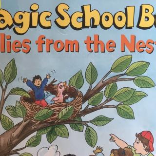 The magic school bus flies from the nest20170618