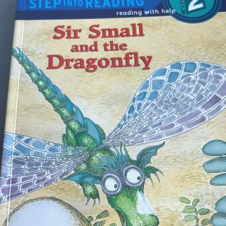 S2-Sir Small and the Dragonfly-170618