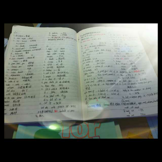 My Notes (words and phrases