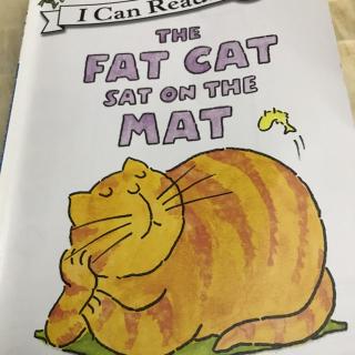 The fat rat sat on the mat