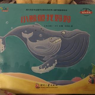 小鲸鱼找妈妈
