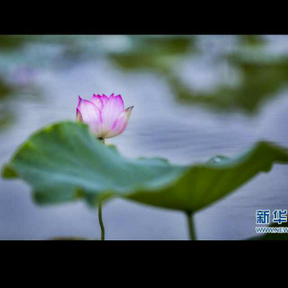 亲爱的老爸，节日快乐！