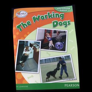 The working dogs
