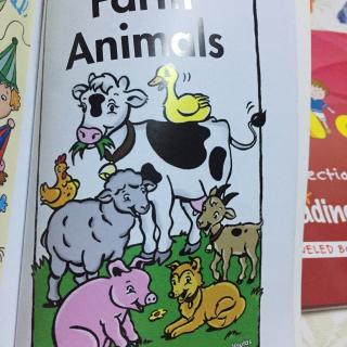 farm animals