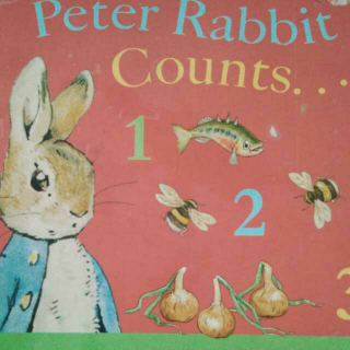 peter   rabbit   counts