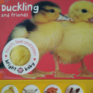 Ducking   and   friends