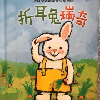 折耳兔瑞奇