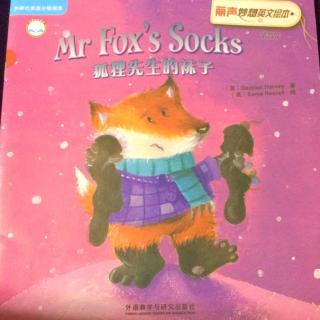 mr fox’s socks