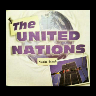 The United Nations联合国