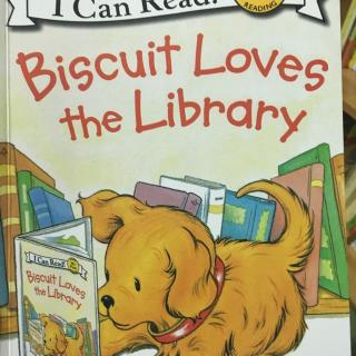 Biscuit loves the library