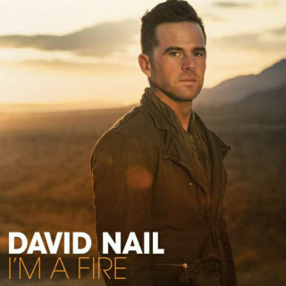 《Whatever She's Got》David Nail