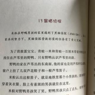 复活节彩蛋（大结局）-王一梅作品