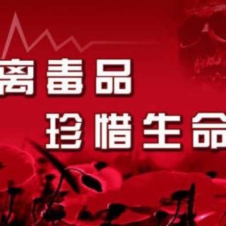 【975期】冰之惑——6．26禁毒宣传（主播：绕指柔的钢）