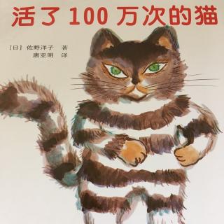 活了100万次的猫🐱