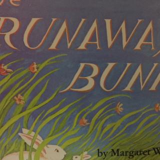 Runnaway Bunny