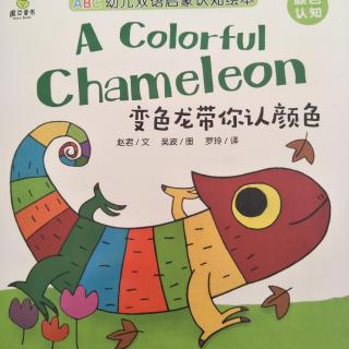 A  Colorful  Chameleon