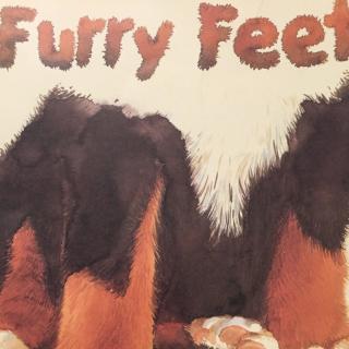 Furry feet