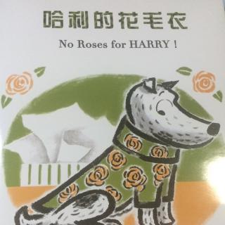 哈利的花毛衣