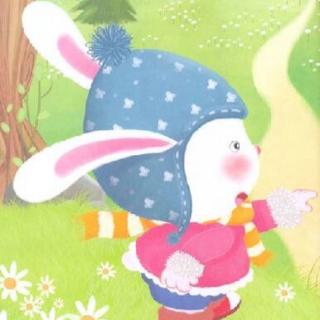 小兔子的愿望花