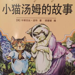 小猫汤姆的故事