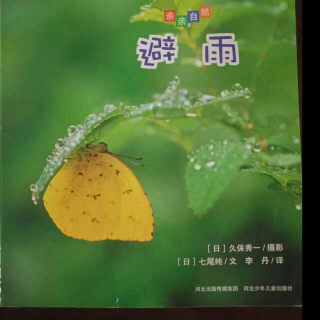 春蕾老师讲故事――避雨