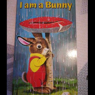 I am a bunny