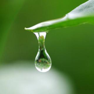 情歌晨读：雨滴的味道💧—作者：玉露情歌