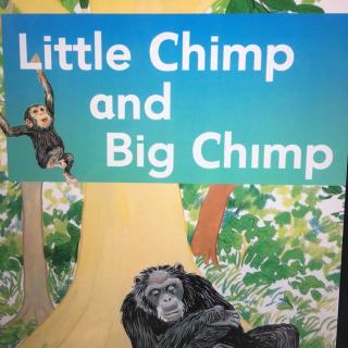 Little Chimp and Big Chimp