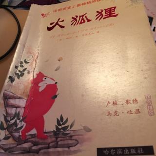 《火狐狸 》9.白忙一场