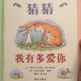 猜猜我有多爱你