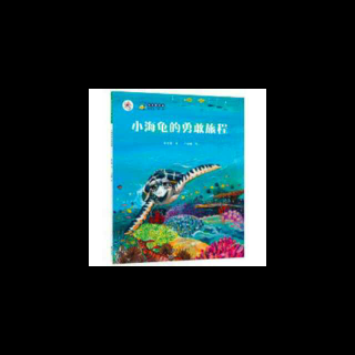 海洋绘本《小海龟的勇敢旅程》