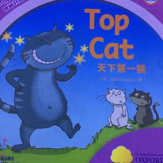 Top Cat 天下第一猫🐱