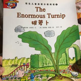 培生英文绘本 中英 The enormous turnip