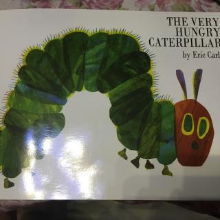 The very hungry caterpillar好饿的毛毛虫