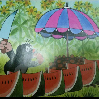 鼹鼠的故事：鼹鼠和雨伞🌂