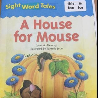 A house for mouse