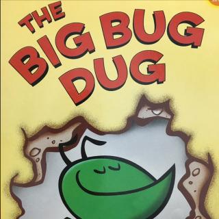 bigblackbug图片