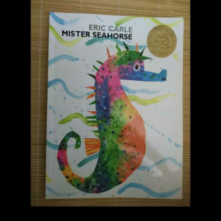 Mr.  Seahorse