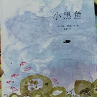 小黑鱼🐟