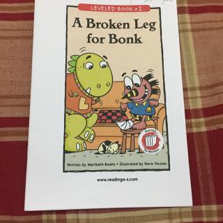 A broken leg for bonk(Xenia)