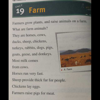 【洋学堂】19 Farm