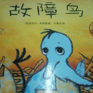 《故障鸟》（主讲小爱+佳琪）