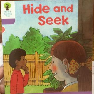 Hide and Seek