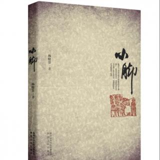 长篇小说《小脚》第二十章 作者 杨晓景