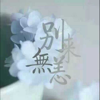 暗恋成茧，我用整个曾经爱过你