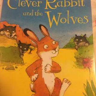 Clever rabbit and the wolves