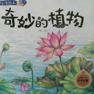 《奇妙的植物》