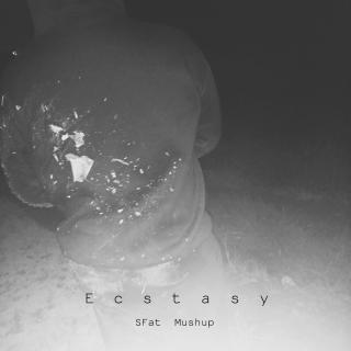 【SFat Music】Ecstasy(SFat Mushup)