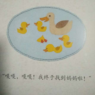 《小黄鸭找妈妈》